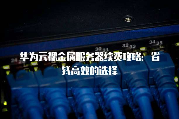 华为云裸金属服务器续费攻略:省钱高效的选择
