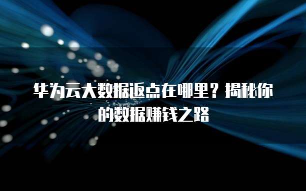 华为云大数据返点在哪里?揭秘你的数据赚钱之路