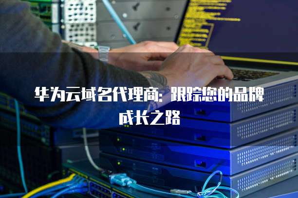华为云域名代理商: 跟踪您的品牌成长之路