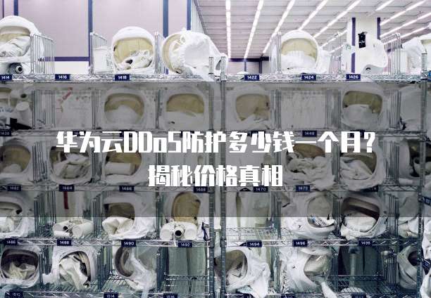 华为云DDoS防护多少钱一个月?揭秘价格真相