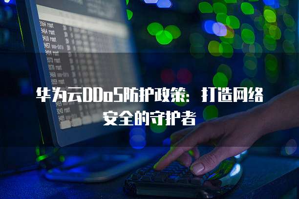 华为云DDoS防护政策:打造网络安全的守护者