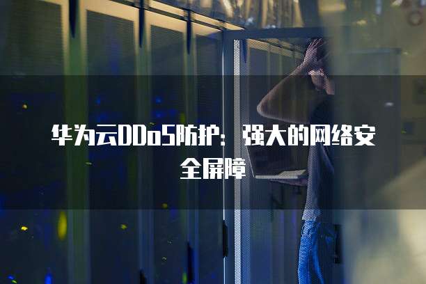 华为云DDoS防护:强大的网络安全屏障