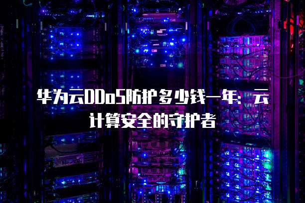 华为云DDoS防护多少钱一年:云计算安全的守护者