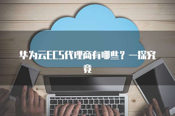 华为云ECS代理商有哪些?一探究竟