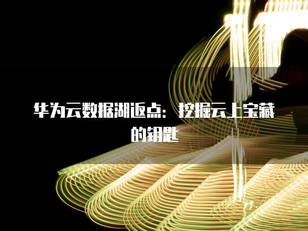 华为云数据湖返点:挖掘云上宝藏的钥匙