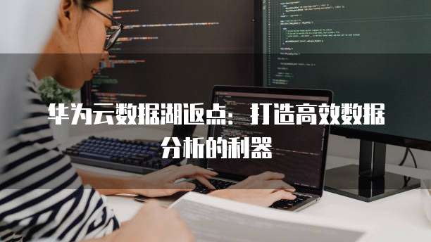 华为云数据湖返点:打造高效数据分析的利器
