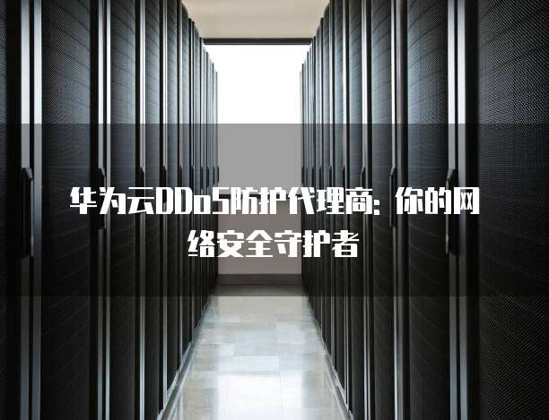 华为云DDoS防护代理商: 你的网络安全守护者