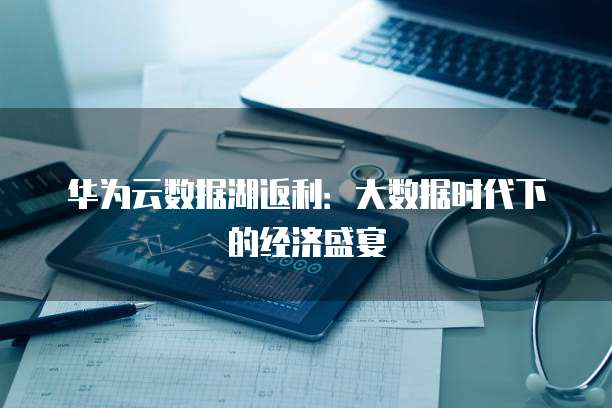 华为云数据湖返利:大数据时代下的经济盛宴