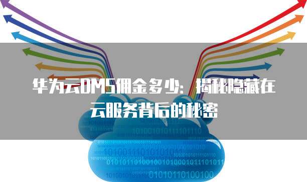 华为云DMS佣金多少:揭秘隐藏在云服务背后的秘密