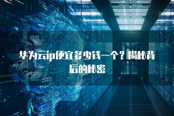 华为云ip便宜多少钱一个?揭秘背后的秘密