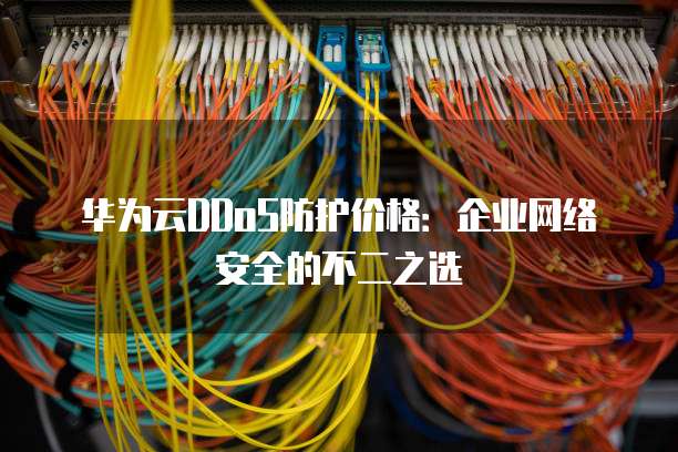 华为云DDoS防护价格:企业网络安全的不二之选