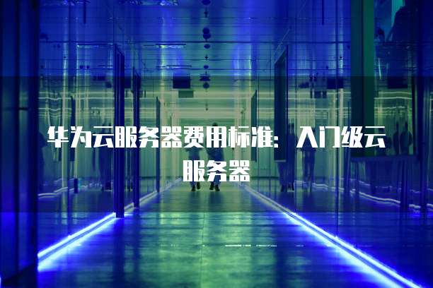 华为云服务器费用标准:入门级云服务器