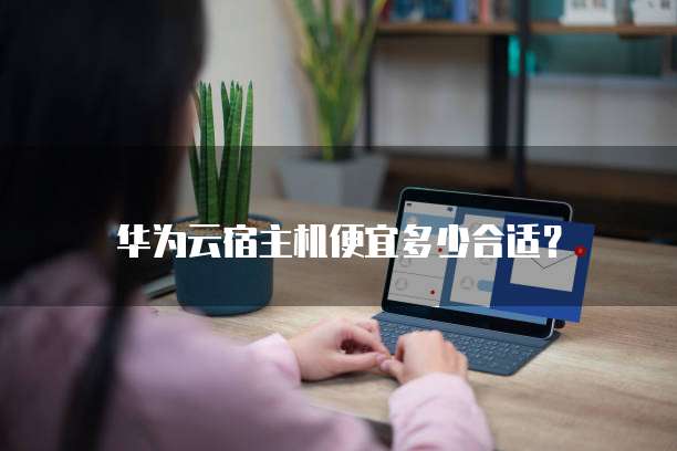 华为云宿主机便宜多少合适?