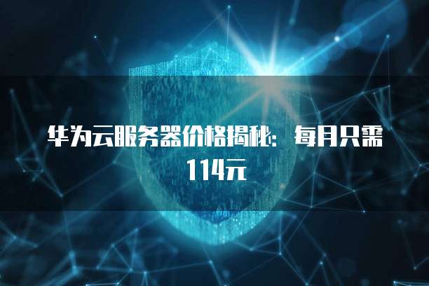 华为云服务器价格揭秘:每月只需114元