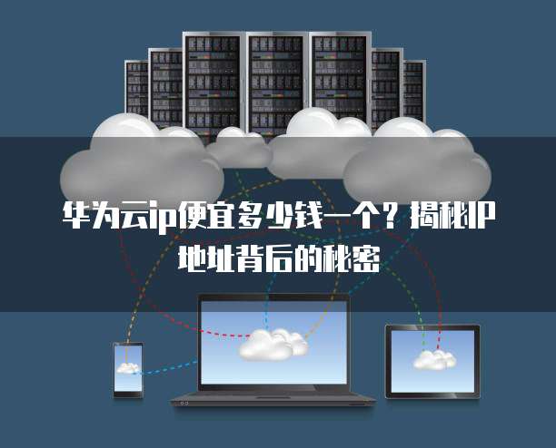 华为云ip便宜多少钱一个?揭秘IP地址背后的秘密