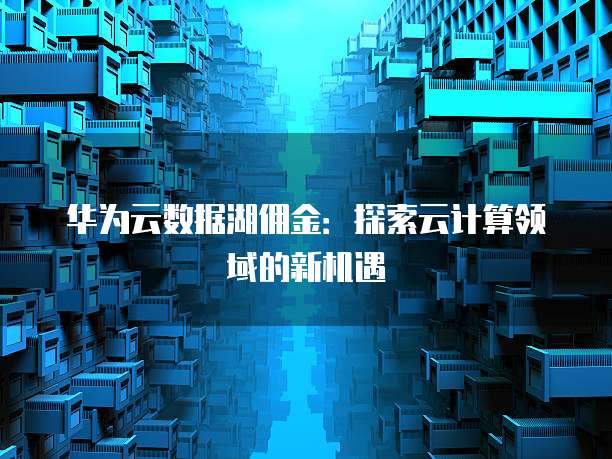 华为云数据湖佣金:探索云计算领域的新机遇