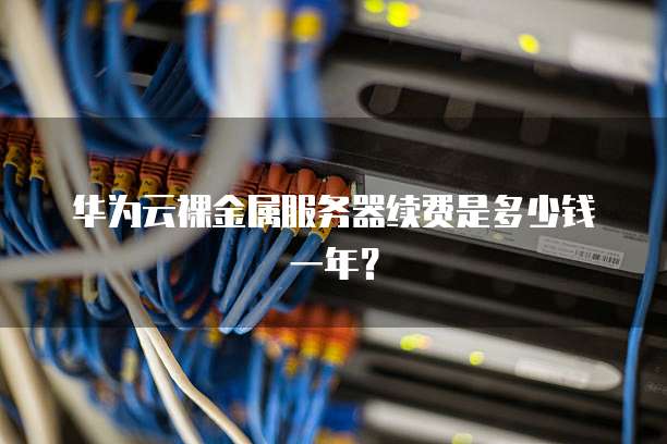 华为云裸金属服务器续费是多少钱一年?