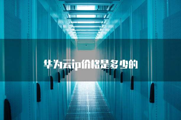 华为云ip价格是多少的