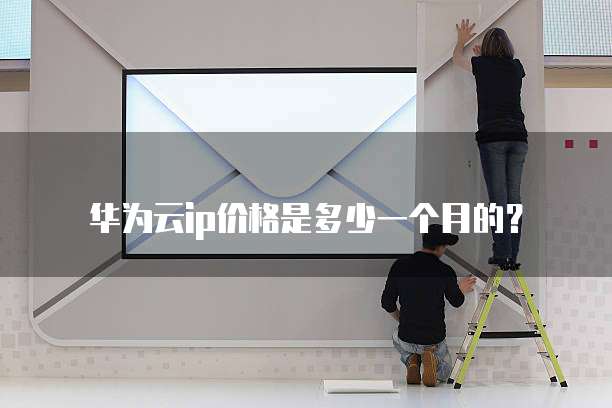华为云ip价格是多少一个月的?