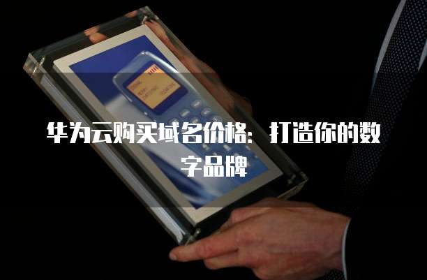 华为云购买域名价格:打造你的数字品牌