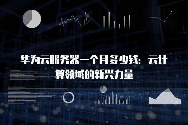 华为云服务器一个月多少钱：云计算领域的新兴力量