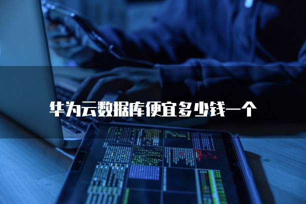 华为云数据库便宜多少钱一个