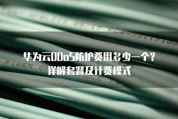 华为云DDoS防护费用多少一个?详解套餐及计费模式