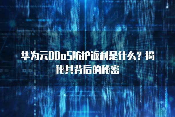 华为云DDoS防护返利是什么?揭秘其背后的秘密