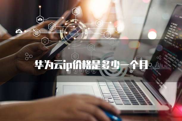 华为云ip价格是多少一个月