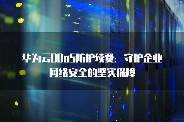 华为云DDoS防护续费:守护企业网络安全的坚实保障