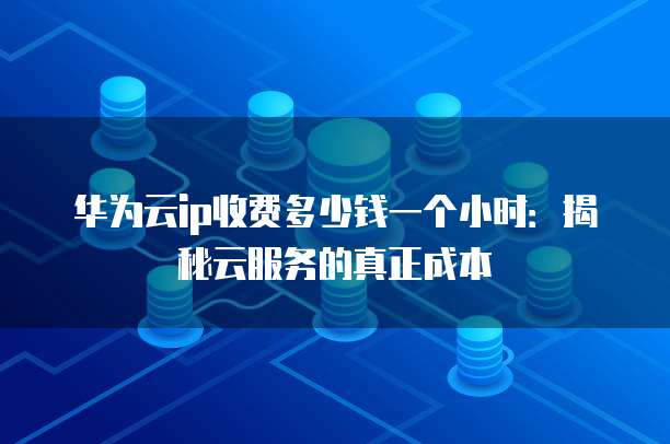 华为云ip收费多少钱一个小时:揭秘云服务的真正成本
