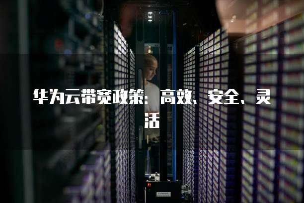 华为云带宽政策:高效、安全、灵活