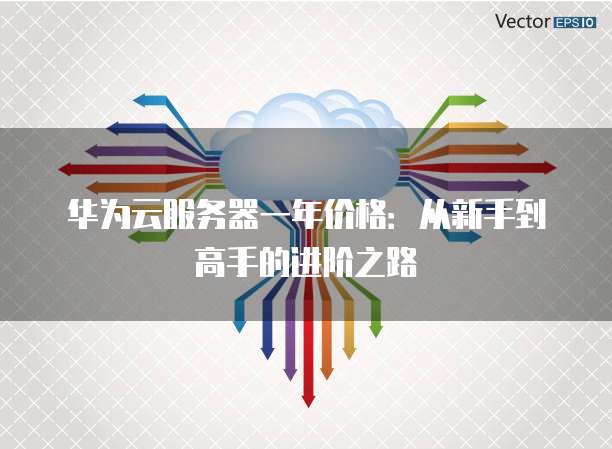 华为云服务器一年价格:从新手到高手的进阶之路