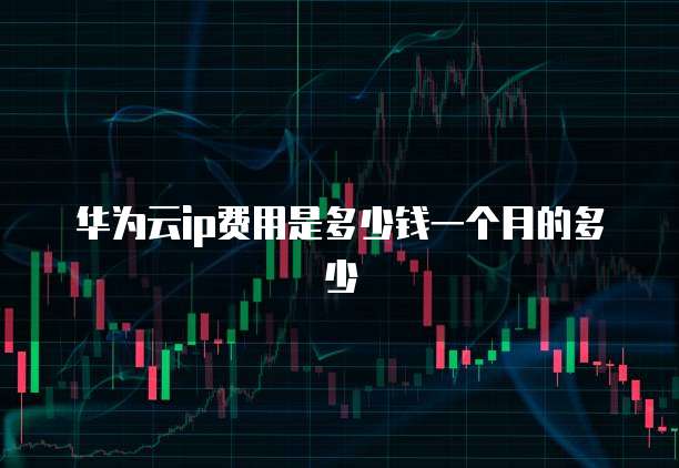 华为云ip费用是多少钱一个月的多少