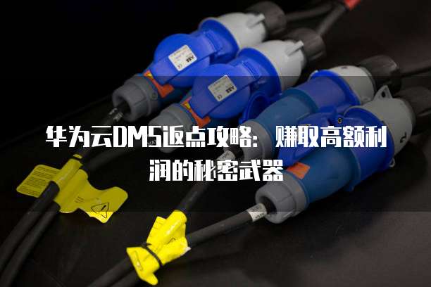 华为云DMS返点攻略：赚取高额利润的秘密武器