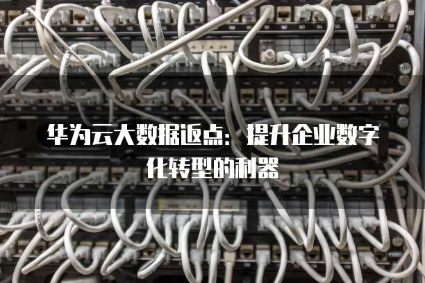 华为云大数据返点:提升企业数字化转型的利器