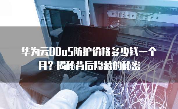 华为云DDoS防护价格多少钱一个月?揭秘背后隐藏的秘密