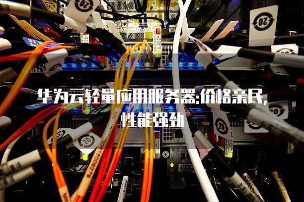 华为云轻量应用服务器:价格亲民,性能强劲