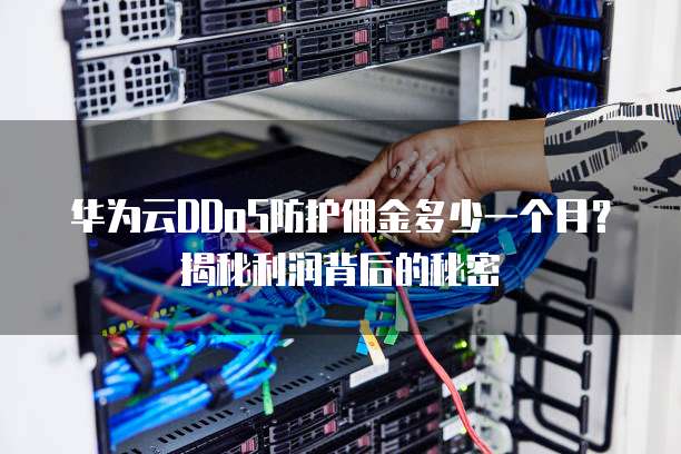 华为云DDoS防护佣金多少一个月？揭秘利润背后的秘密