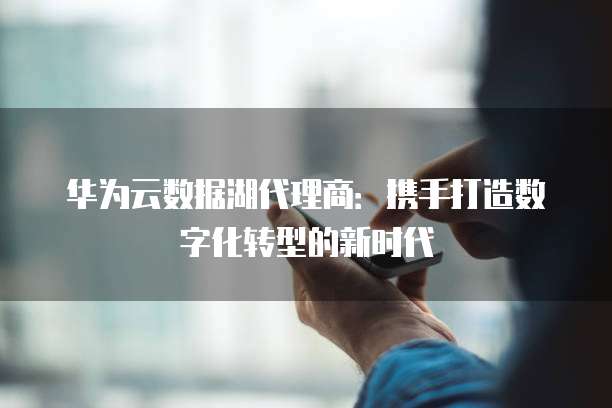 华为云数据湖代理商:携手打造数字化转型的新时代