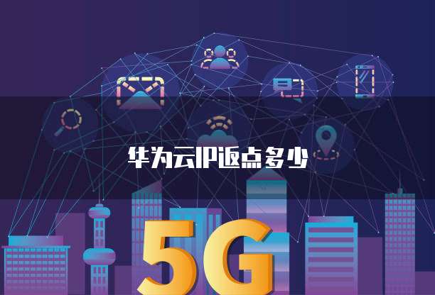 华为云IP返点多少