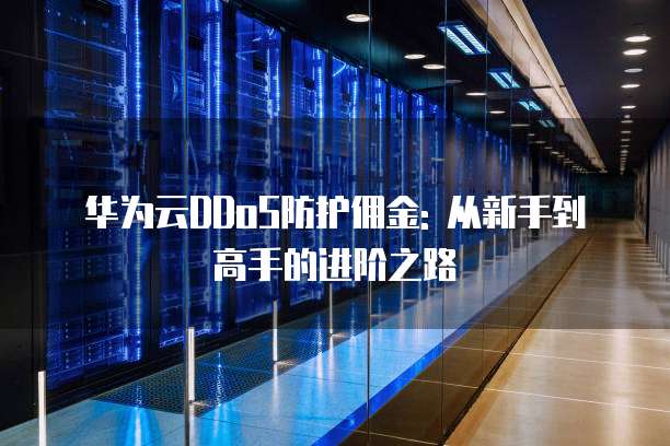 华为云DDoS防护佣金: 从新手到高手的进阶之路