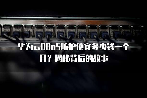 华为云DDoS防护便宜多少钱一个月?揭秘背后的故事