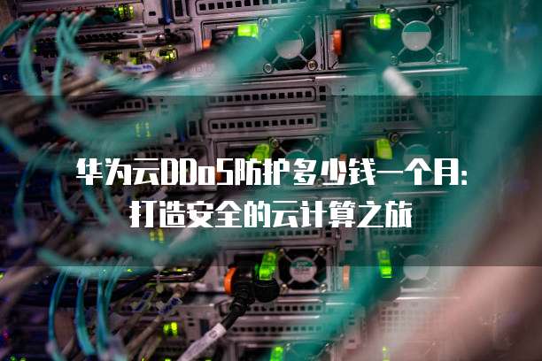 华为云DDoS防护多少钱一个月:打造安全的云计算之旅