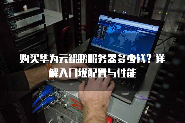 购买华为云鲲鹏服务器多少钱?详解入门级配置与性能
