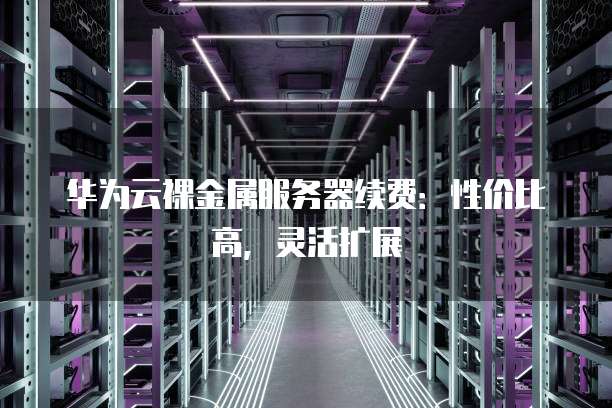 华为云裸金属服务器续费:性价比高,灵活扩展