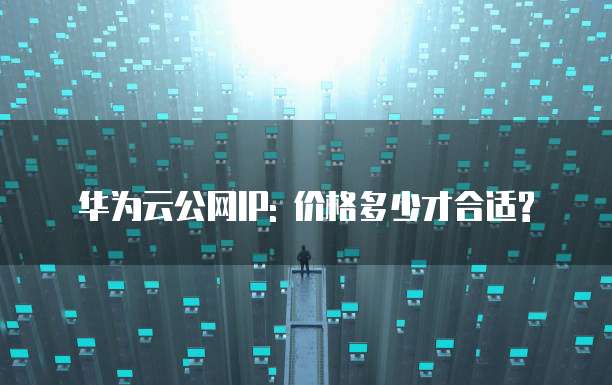 华为云公网IP: 价格多少才合适?