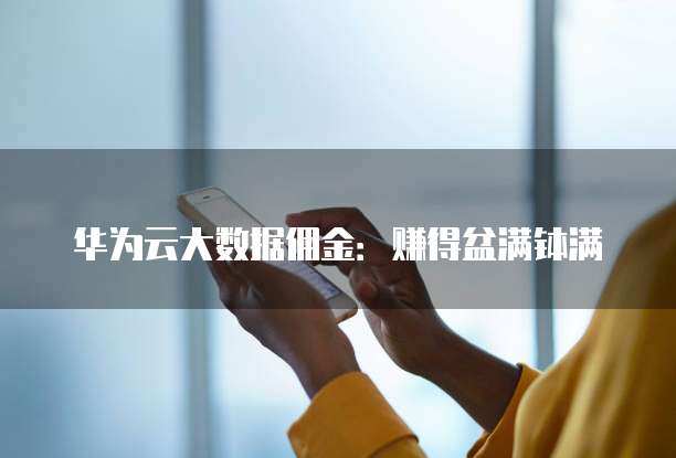 华为云大数据佣金:赚得盆满钵满