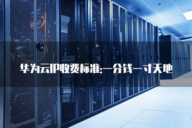 华为云IP收费标准:一分钱一寸天地