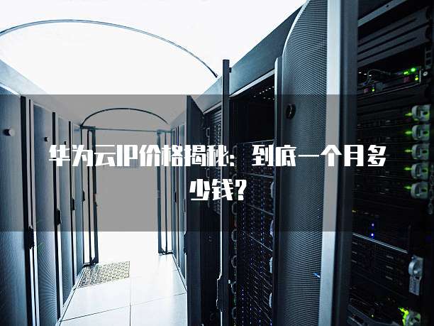 华为云IP价格揭秘：到底一个月多少钱？